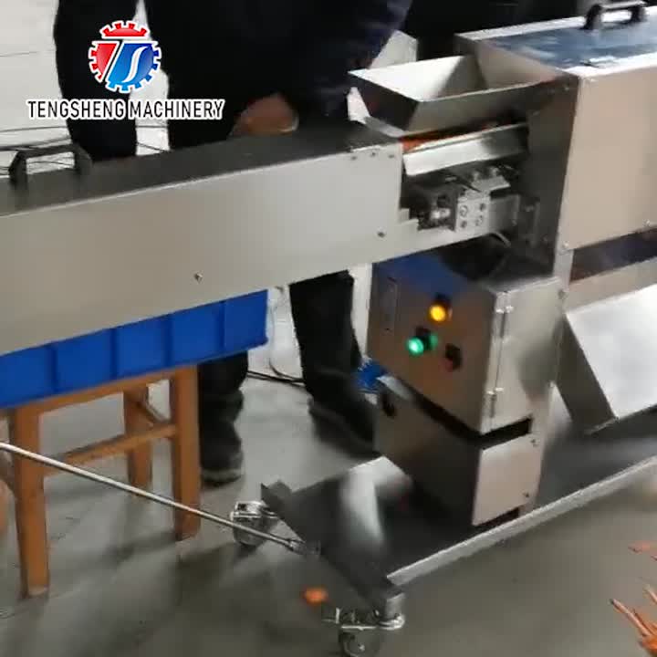 Máquina comercial de descascar cenoura em aço inoxidável TS-P160