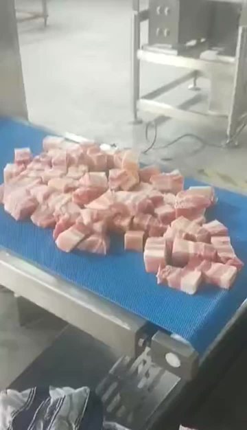 Fresh meat slicerslitter