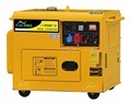 Newland 4 Stroke 1 Cylinder Diesel Engine Generator 230V 3kw-6500W 3 Phase for Sale1