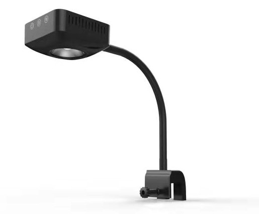 Coral led light Q3