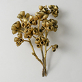 Yunnan Manufacturer's Natural Dried Zombie Fruit Millet for DIY Home Decoration1