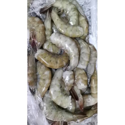 Udang vannamei