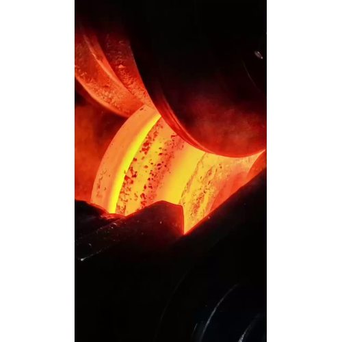 Superior Forged Steel Roller Ring Designed