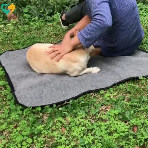 Good Quality Dog Mat