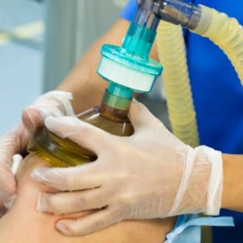 What are the differences between endotracheal tube & laryngeal mask airway?