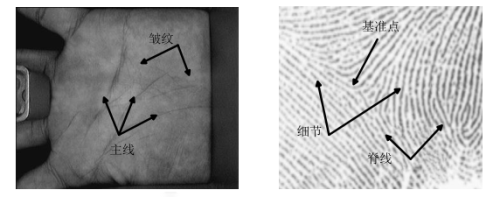 基於高光譜圖像的掌刻融合融合識別和應用