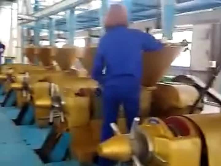 China Casto Oil _ Cottonseed Oil_Soybean Oil_ Rapeseed Sunflower Oil Pressing Machine_Olej do produkcji oleju - China Sunflower Oil Pressing Plant, Sunflower Oil Pressing Machine.mp4