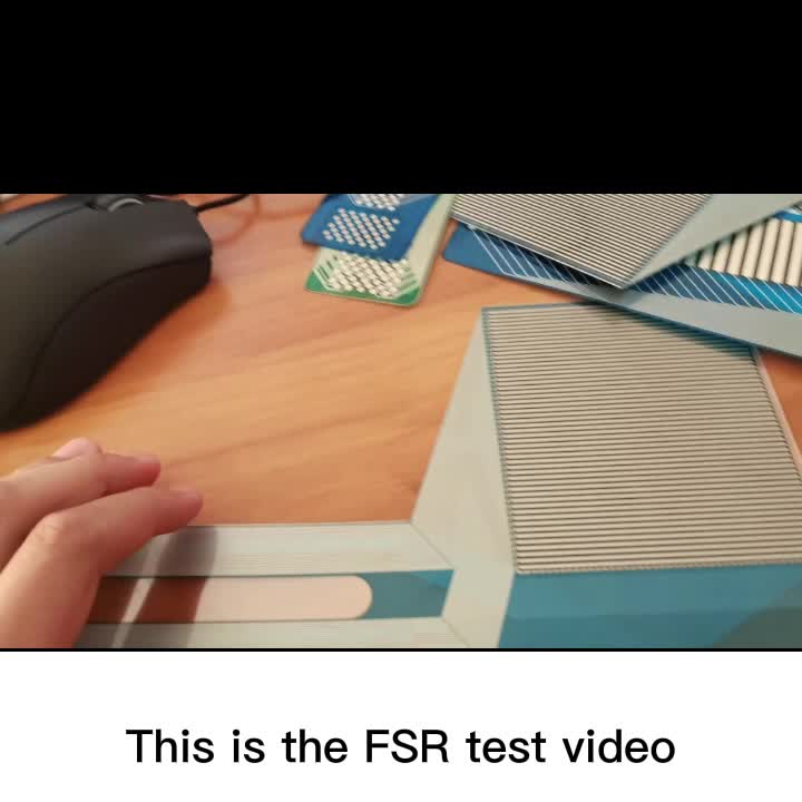 the FSR test software