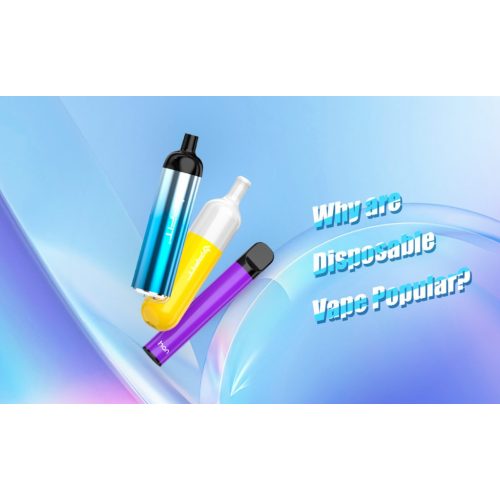 ¿Por qué es tan popular el vape desechable?