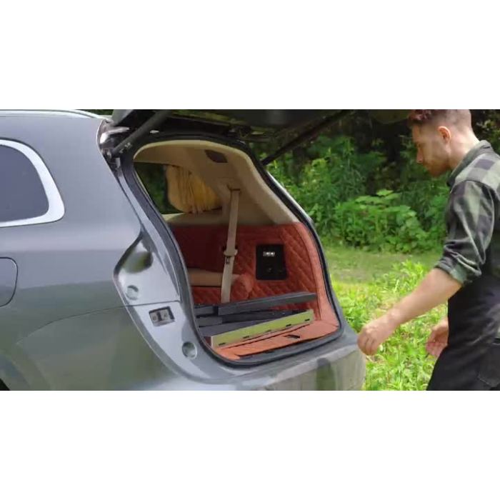 Wood Fired Pizza Oven WN-003T1