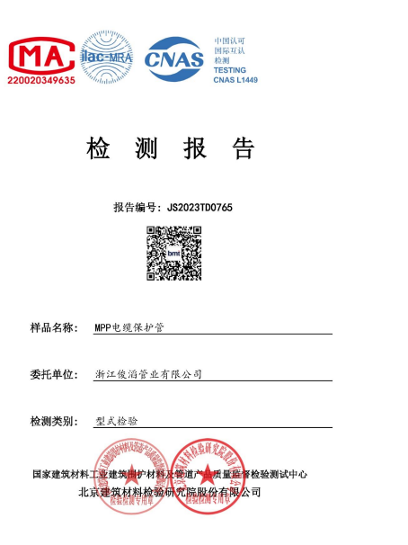 Inspection Report