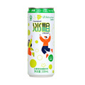 Wholesale Creamy Carbonated White Grape Drinks - JIUR New Flavors 330ml1