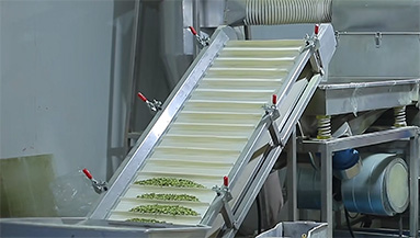 Taizhou Shubenshu Food Co.,Ltd