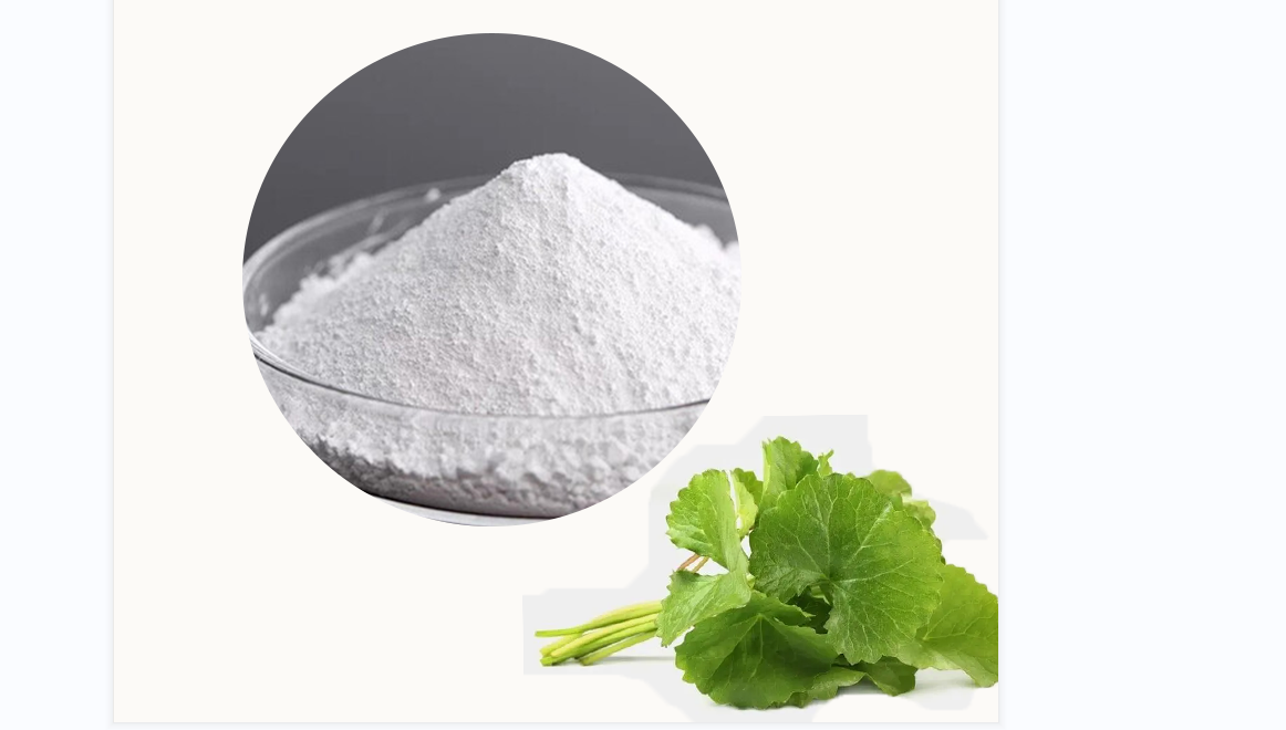 Centella Asiatica powder