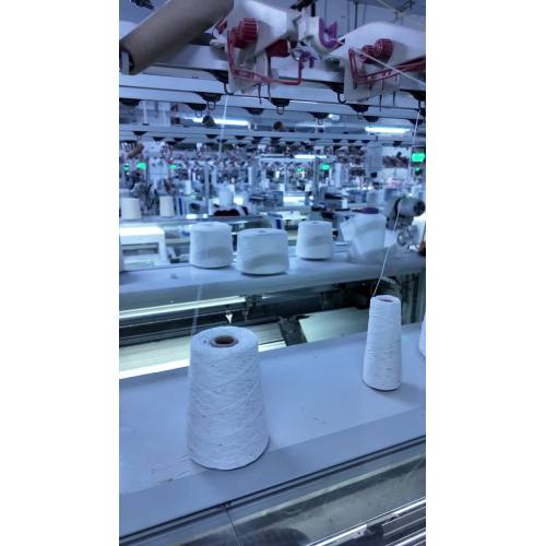 IMG_2256 IMG_2256 IMG_2256