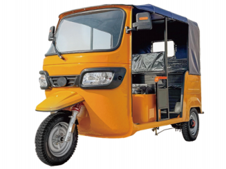 Electric Leisure Tricycle
