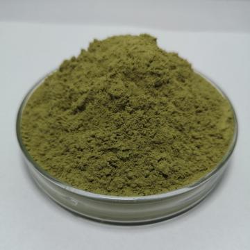 List of Top 10 Kale Powder Brands Popular in European and American Countries