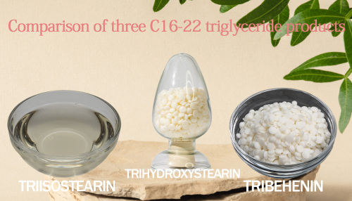 C16-22 트리스터 MY719 vs MY720 vs MY722 성능 검토