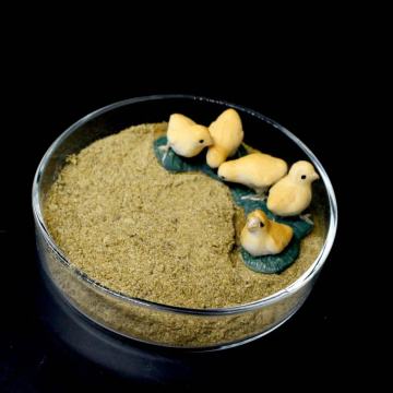 Fish meal Production processing Specification