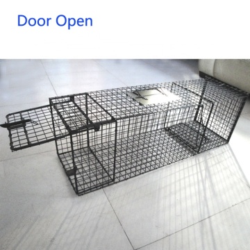 Top 10 China Wire Mesh Trap Cages Manufacturers