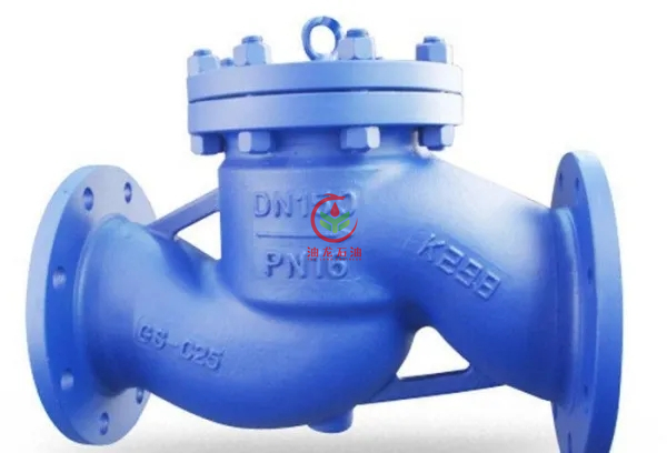 Lift Check Valve 3 Jpg