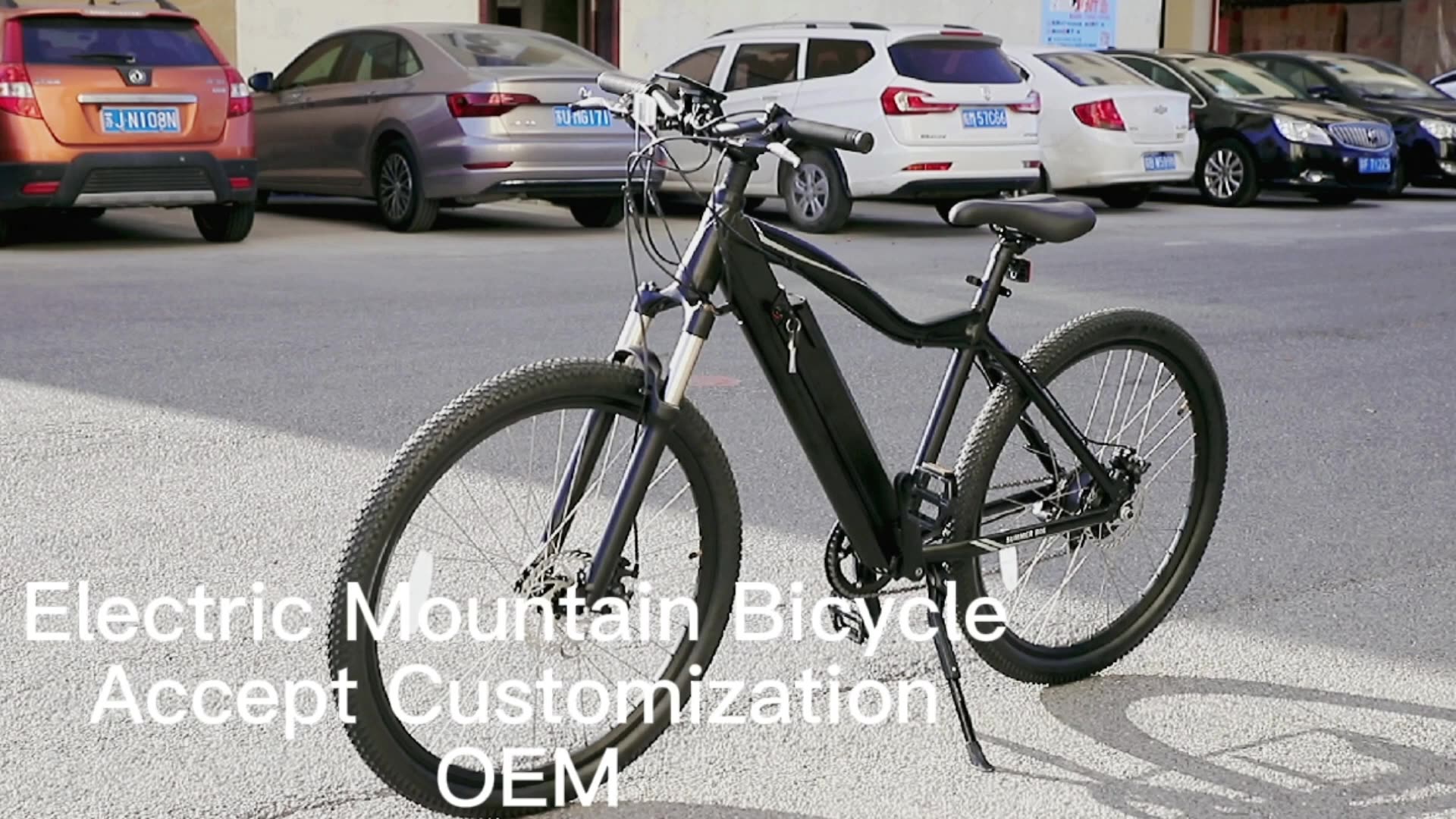 MB003 Electric Power Mountainbiken1
