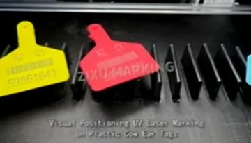Fully Automatic In Line UV Laser Marking Machine