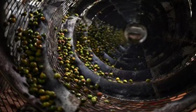 Yunnan Disi Enterprise Group Nut Co., Ltd