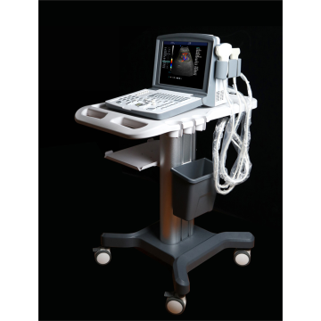Ten Chinese Prostate Color Ultrasound Suppliers Popular in European and American Countries