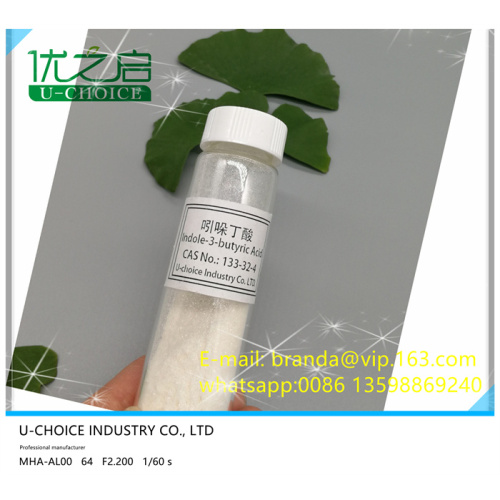 ผงรูตกรดอินโดล-3-บิวทีริก (IBA)