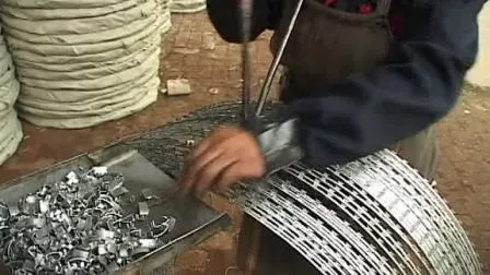 Rolli in rete saldata in rete saldata in galvanizza