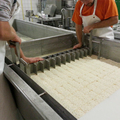 Mozzarella Cheese Processing Line and Making Machine1
