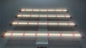 Promoção 600W LED Grow Light 4bar