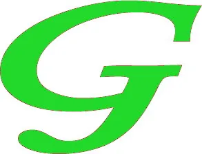 Ghenaliuc Com LLC
