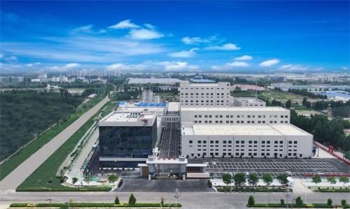 Leading Functional Sugar Firm Bailong Chuangyuan Grows 50% in Net Profit, to Inject 340M RMB into Thai Unit