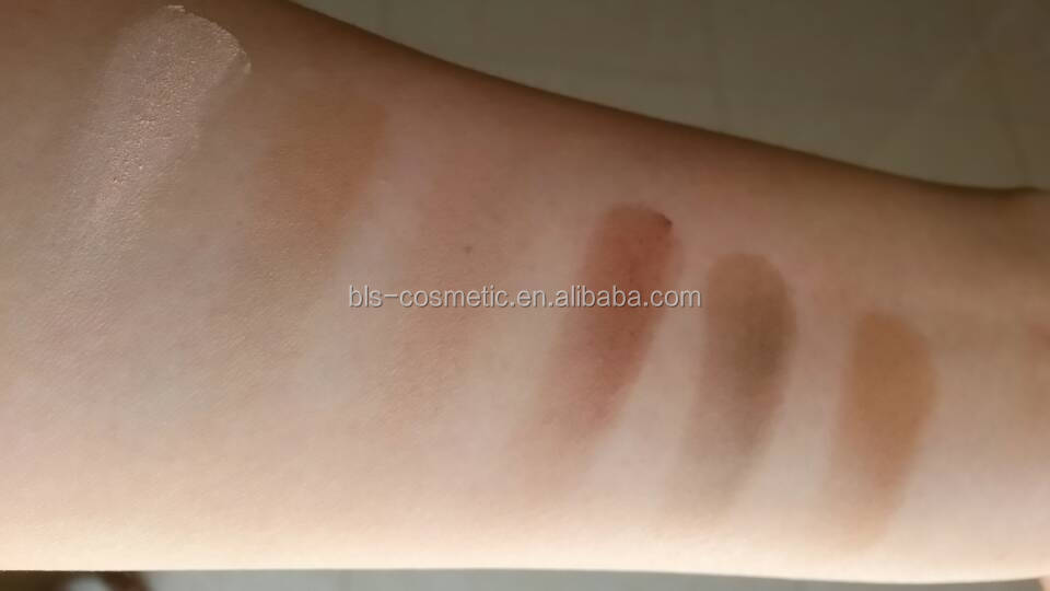 Ιδιωτική ετικέτα 6 χρωμάτων Contour Powder Palette