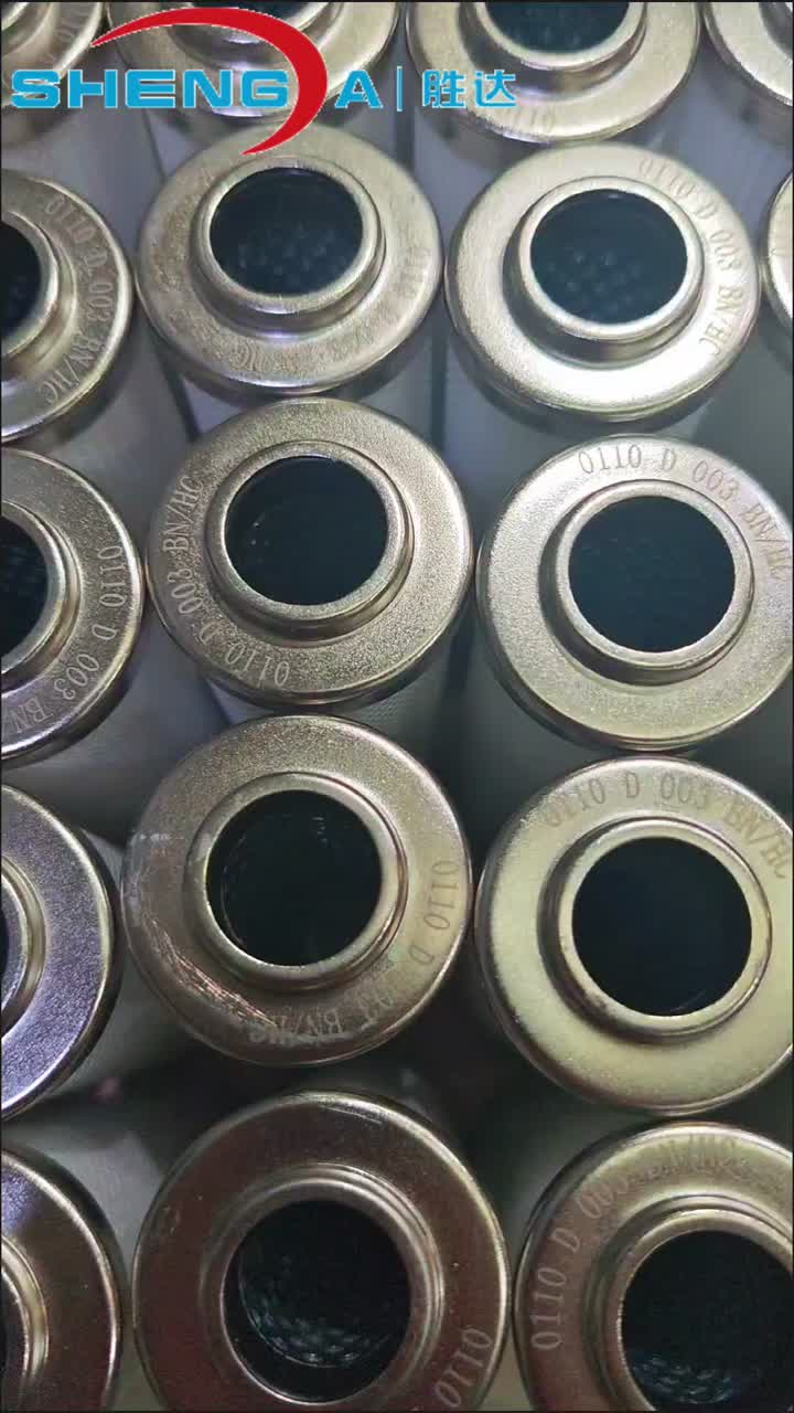 عنصر التصفية SD 0110 D 003 BNHC