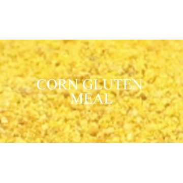 Corn Gluten Meal