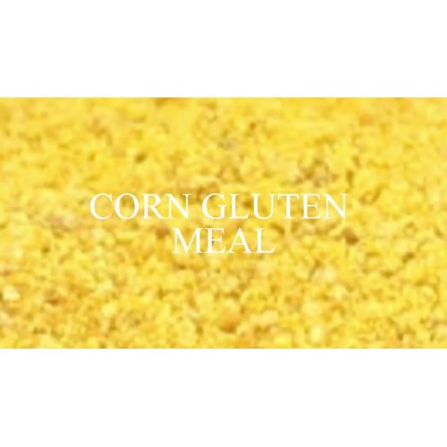 Corn Gluten Meal