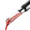 Manufacturer New Arrivals: Premium 2-in-1 Red Acrylic Wine Aerator Pourer and Decanter Spout1