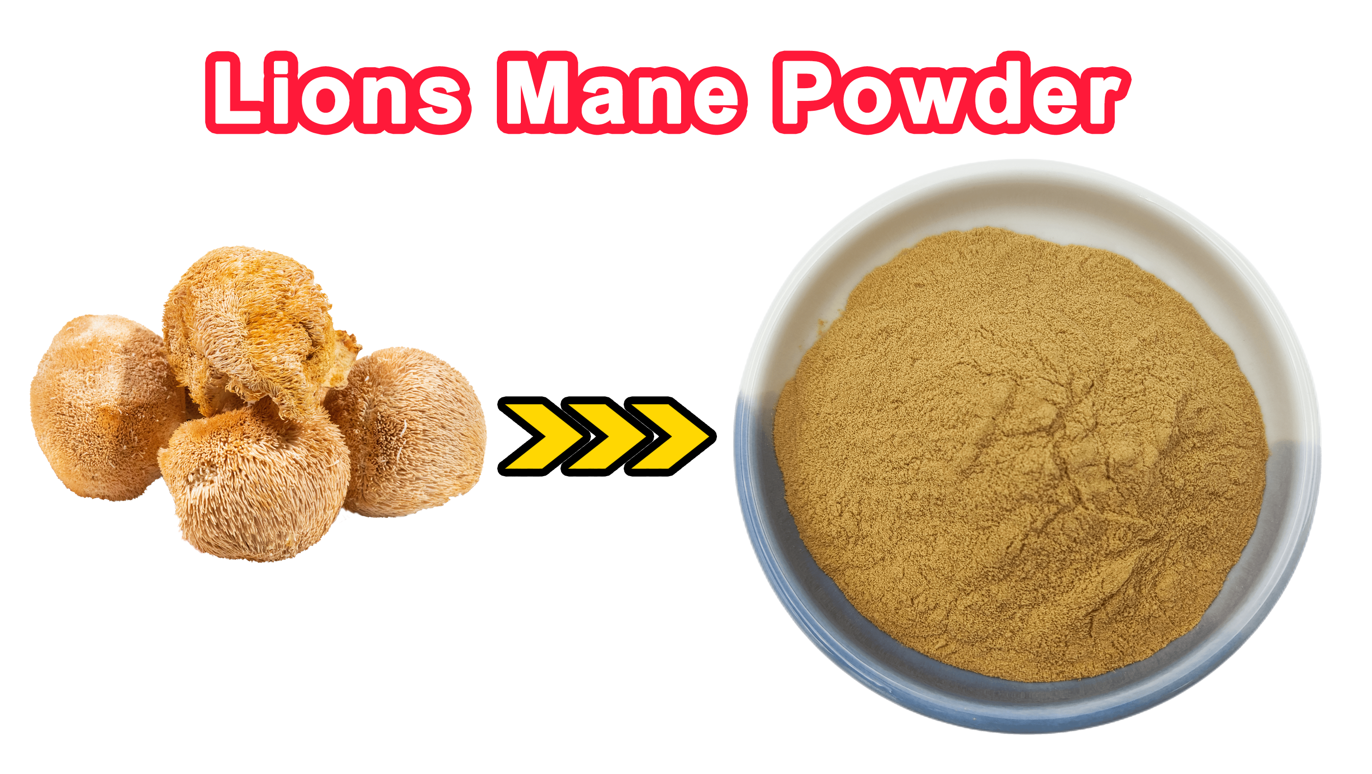 Lions Mane Powder