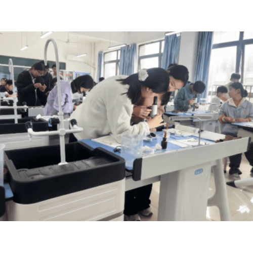 Zhengzhou Liserve Bilim ve Eğitim: Çeşitli, Yüksek Kaliteli Ürün Çözümleriyle Eğitim Alanlarını Küreselleştirme