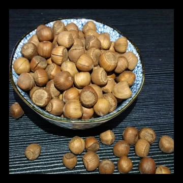Jiaxin Hazelnuts Chinese Tieling Hazelnuts 