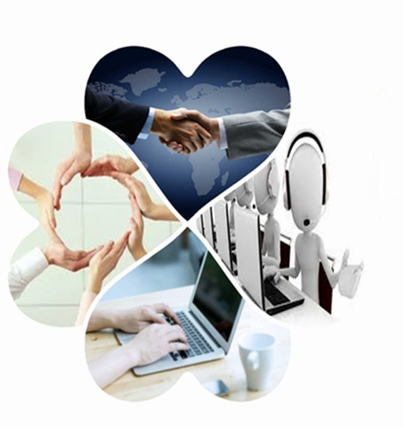 Alicia Import and Export Trade Co., Ltd