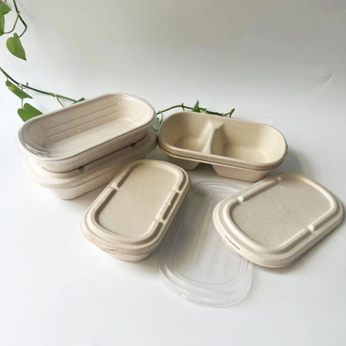 Eco-friendly bagasse food container with separated lid