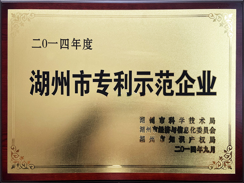 Huzhou Patent Model Enterprise