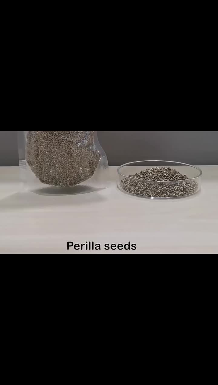 perilla seed