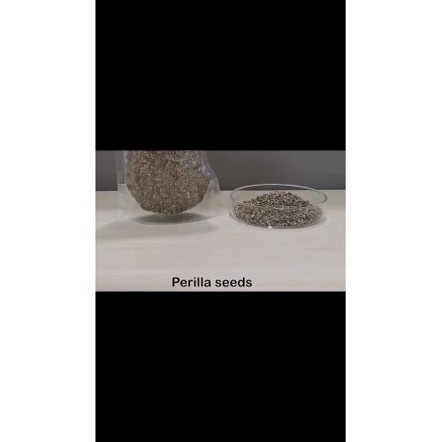 perilla seed