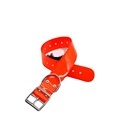 Factory Wholesale: High Quality PVC Adjustable TPU Nylon Webbing Pet Dog Collar - Winter Cold Resistant & Waterproof - Sizes Small to XL1