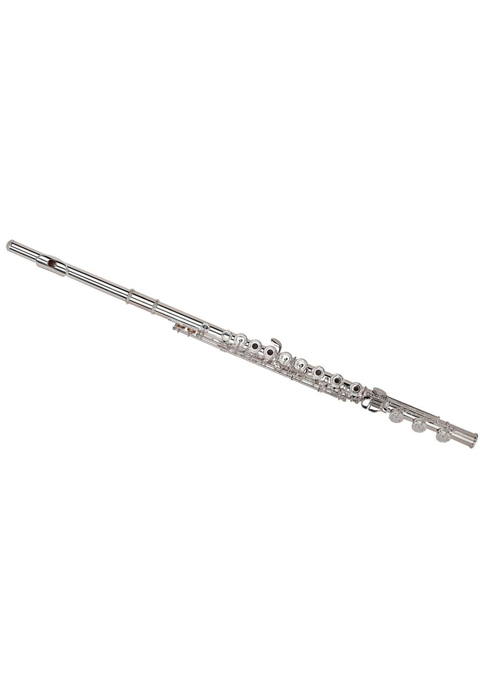 List of Top 10 Solid Silver Flute Brands Popular in European and